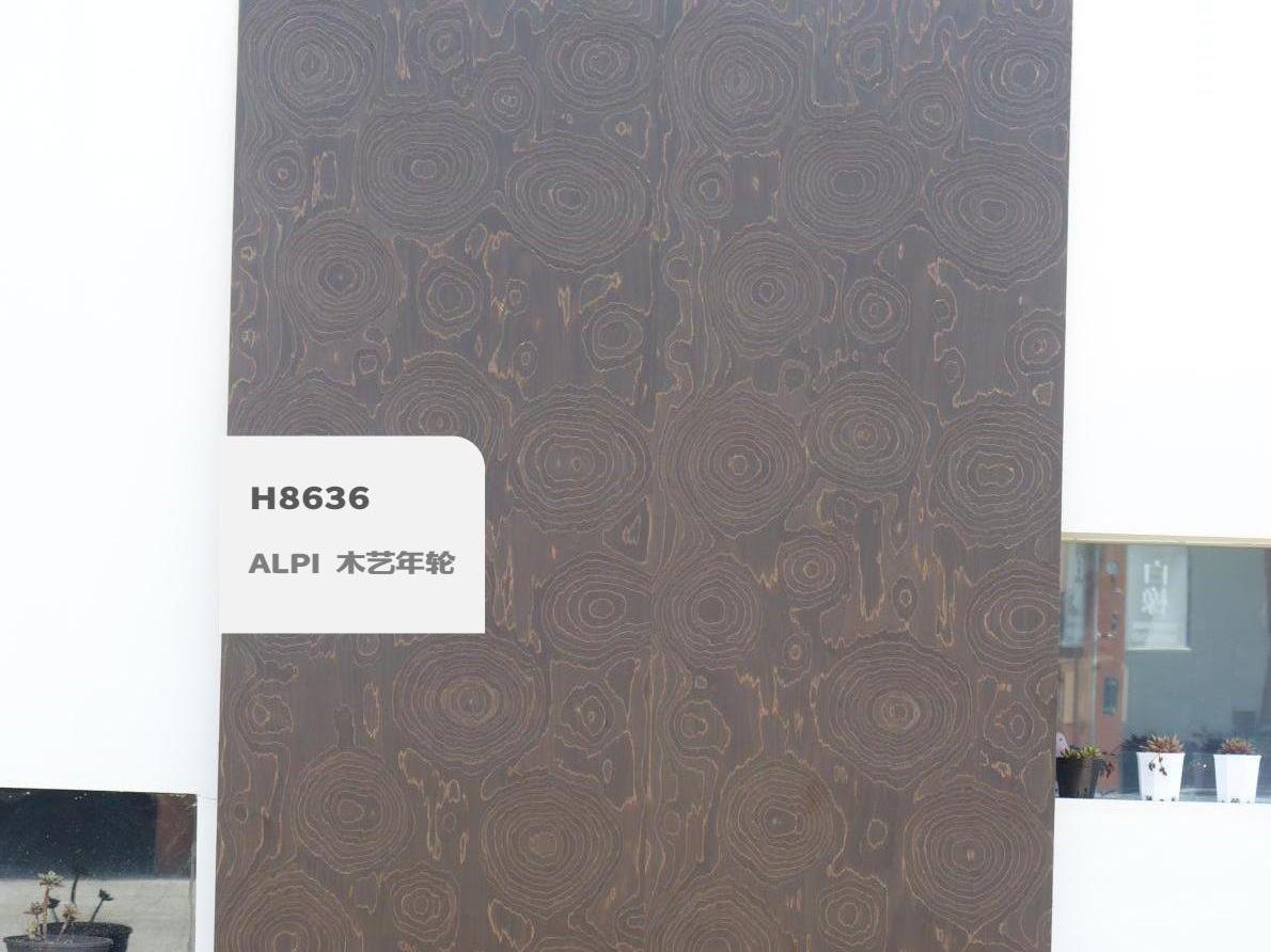 H8636ALPI 木藝年輪