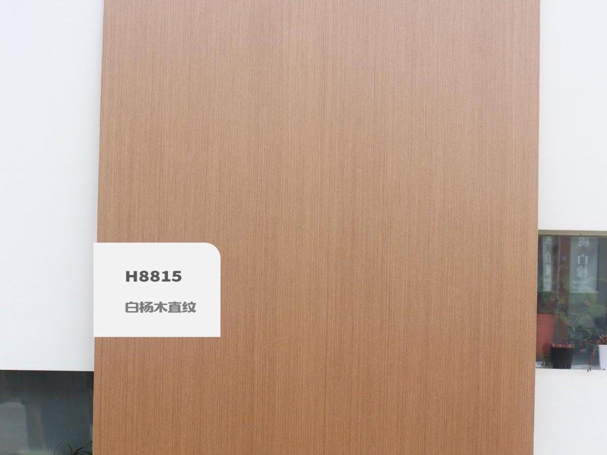 H8815白楊木直紋