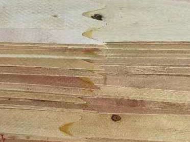 杉木原材料和成品