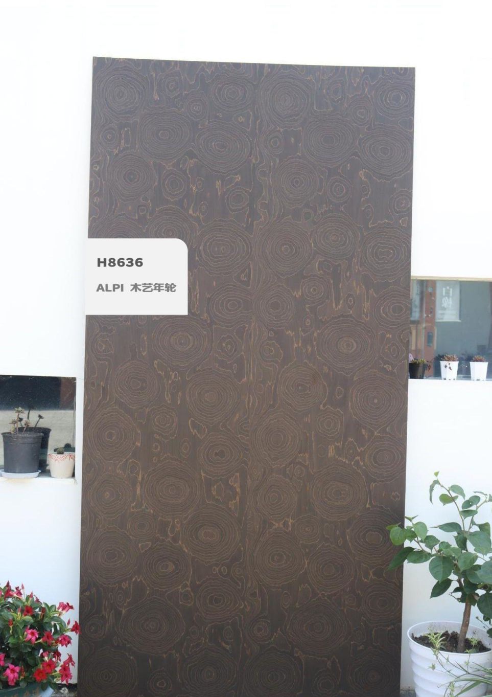 香港福江南板材,福江南木業(yè),香杉木生態(tài)板銷售,桐木生態(tài)板銷售,